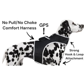 NEW Rechargeable GSM GPRS GPS Pet Tracking Dog Cat Waterproof Tracker Size:S