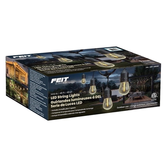 NEW STYLE Feit Electric 48 ft. LED string lights