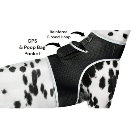 NEW USB Rechargeable GPS Pet Seek GSM GPRS Real-time Location Tracker Size:XXL