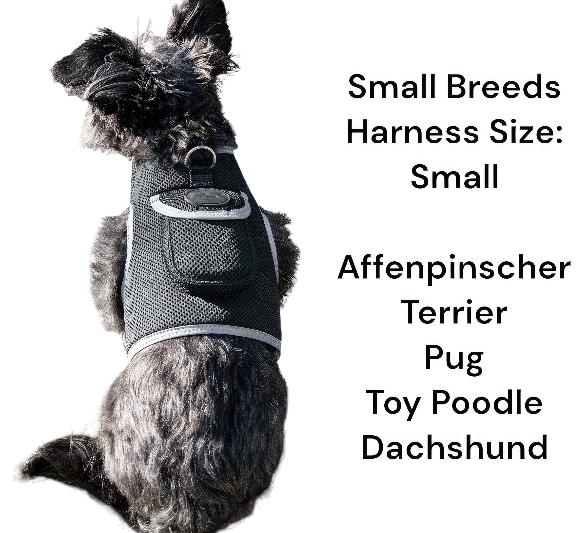 Waterproof Pet GPS Locator Device Rechargeable Dog/Cat Collar Tracker Size:XL