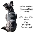 thumbnail image 1 of Waterproof Pet GPS Locator Device Rechargeable Dog/Cat Collar Tracker Size:XL, 1 of 5