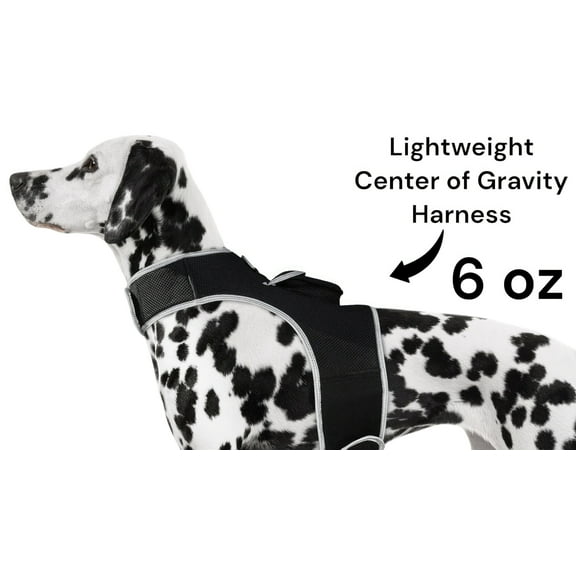 NEW iPhone Apple Dog Tracker Waterproof Rechargeable GSM GPS Locator Size:XL