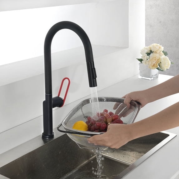 NEWATER Pull Down Kitchen Faucet,Matte Black