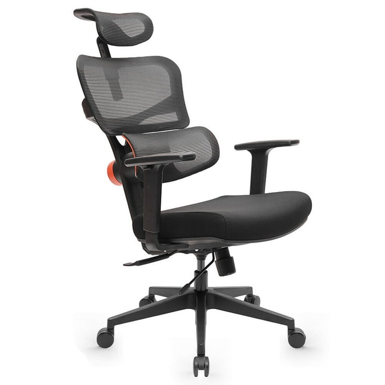 Ergonomic Office Chair High Back Tiltable Lumbar Support with Adjustable  Armrest