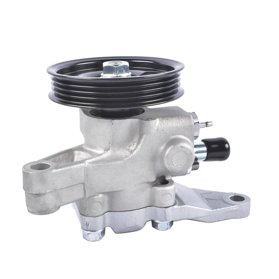 NEWZQ Power Steering Pump for 2003-2006 Hyundai Santa Fe Sport Utility 2002-2005 Kia Sedona Van 1Pc