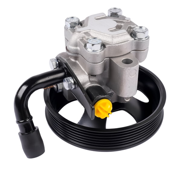 NEWZQ Power Steering Pump for Hyundai Santa Fe Sonata Kia Magentis Optima Sedan SUV 2001-2006 1Pc