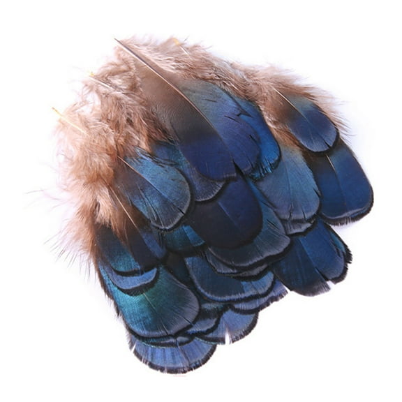 NEXAVKPR 50 Pieces/Set Natural Feathers Crafts Exquisite Soft Crafts Chicken Feathers