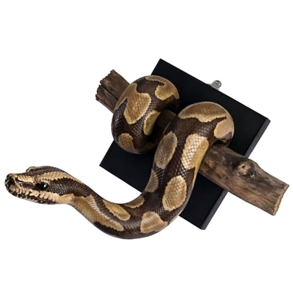 NEXAVKPR Gold Snake Wall Sculpture Shatterproof Resin Snake Figurine Wall Ornament For Living Room Bedroom Offices Decoration