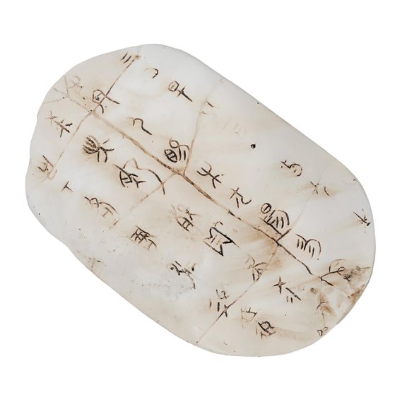 NEXAVKPR Intricate Turtles Shell Wall Decors Embellished With Antique Oracles Detail