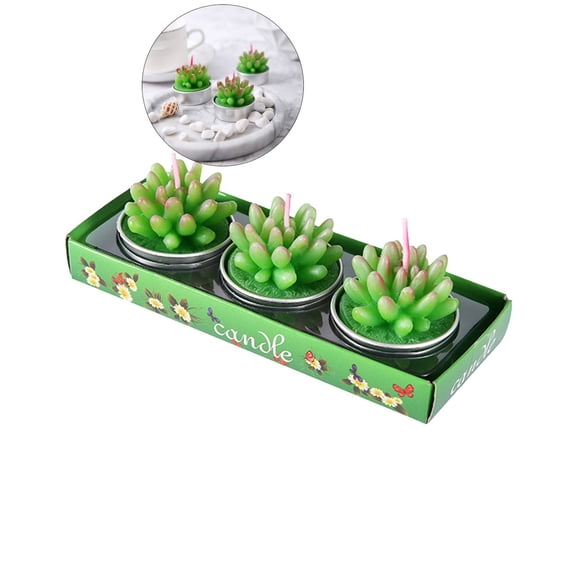 NEXIMO 3 Pcs Succulent Cactus Candles, Smokeless Scented Candles for Home Dcor, Spa, Wedding, Valentine'S Day, Birthday Gift, Anniversary Celebration