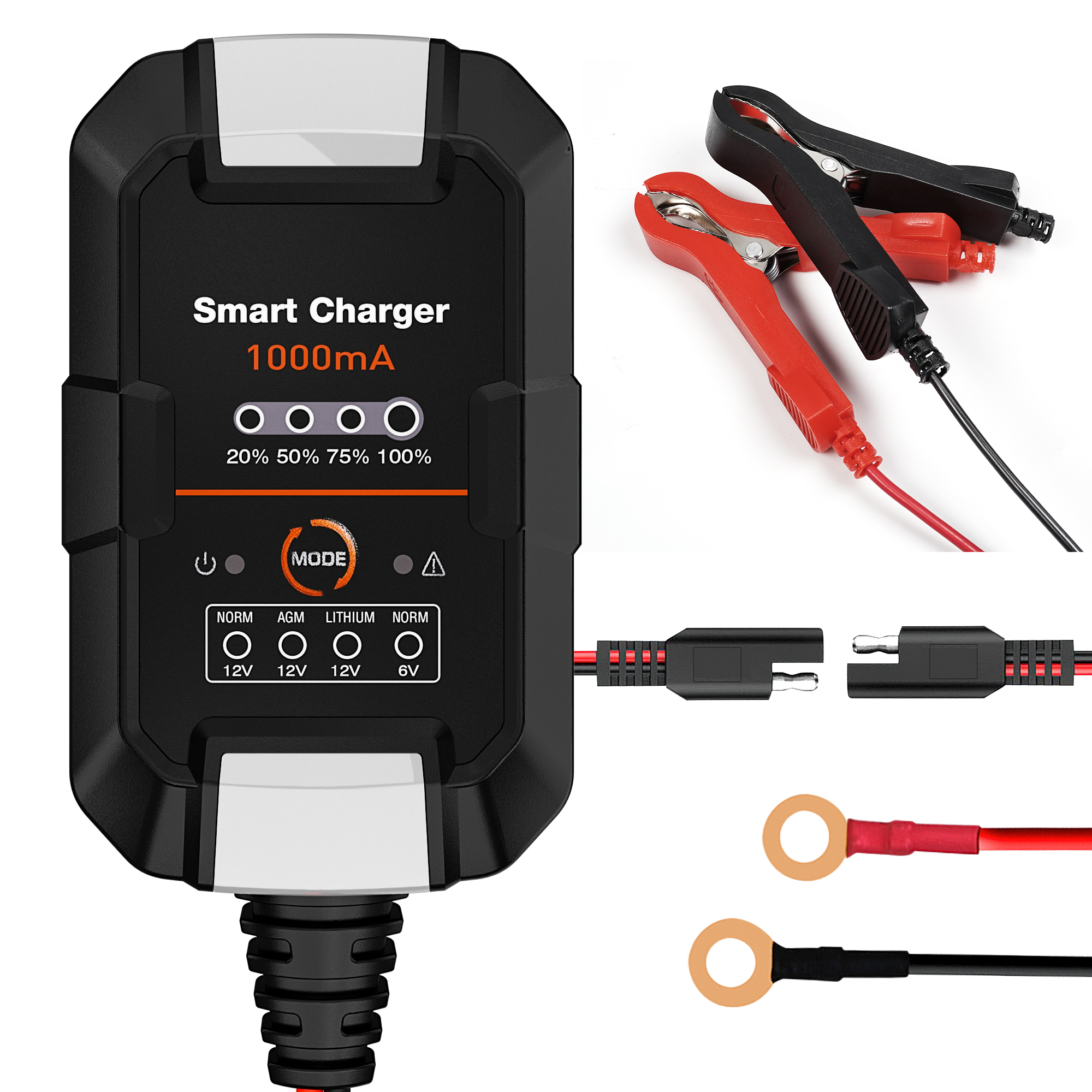 DieHard® 6V/12V Battery Charger & Maintainer