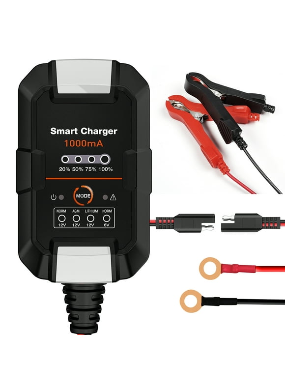 Car Battery Chargers in Car Battery Chargers and Jump Starters