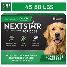 ＤＯＧＳ 1752828-1_2000x.png?v=1744210799