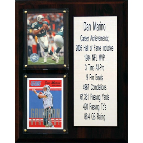 NFL 8"X10" Dan Marino Miami Dolphins Career Stat Plaque