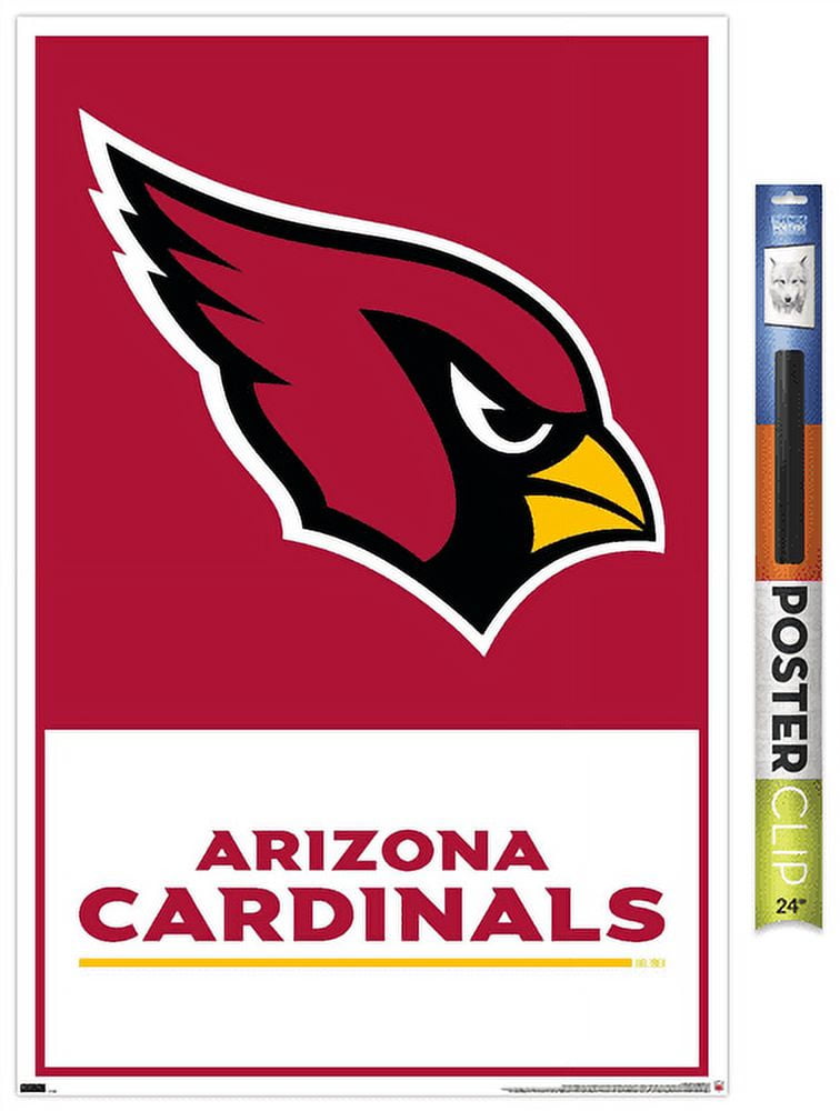  Simple Modern Officially Licensed NFL Arizona