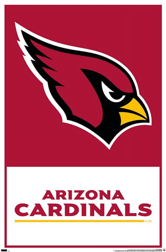  Simple Modern Officially Licensed NFL Arizona