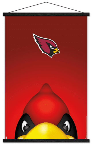 Party Animal Arizona Cardinals Banner NFL Flag