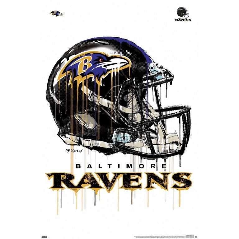 Miorca Raves Ravens Helmet Logo