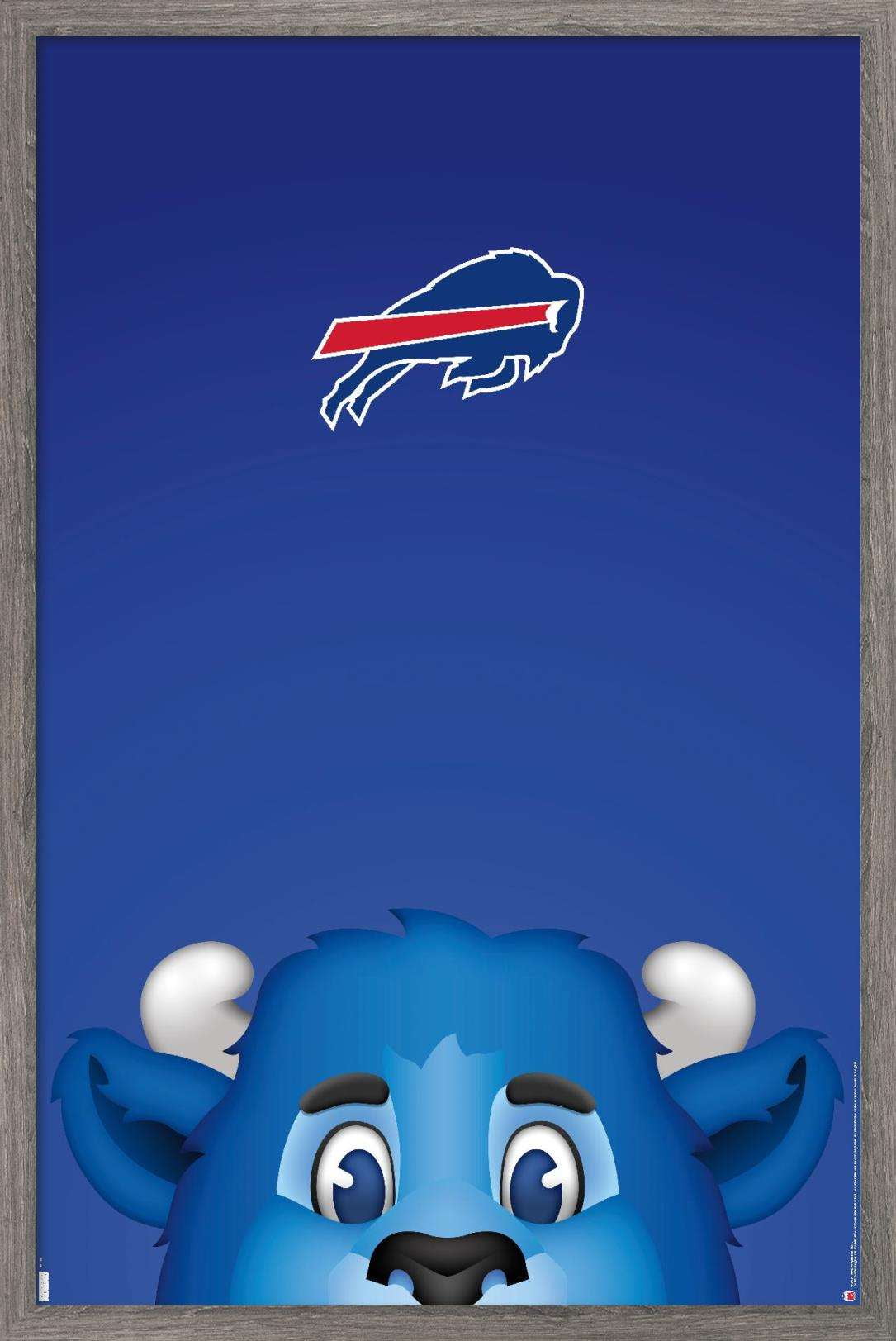 buffalo bills s