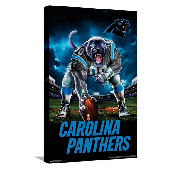 NFL Carolina Panthers - 3 Point Stance 19 Canvas Wall Poster, 14.725" x 22.375"