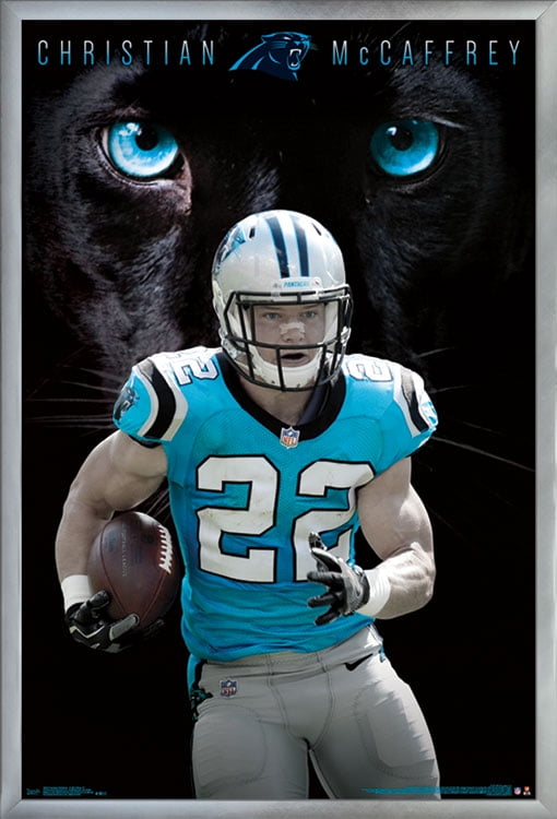 NFL Carolina Panthers - Logo 21 Wall Poster, 22.375 x 34