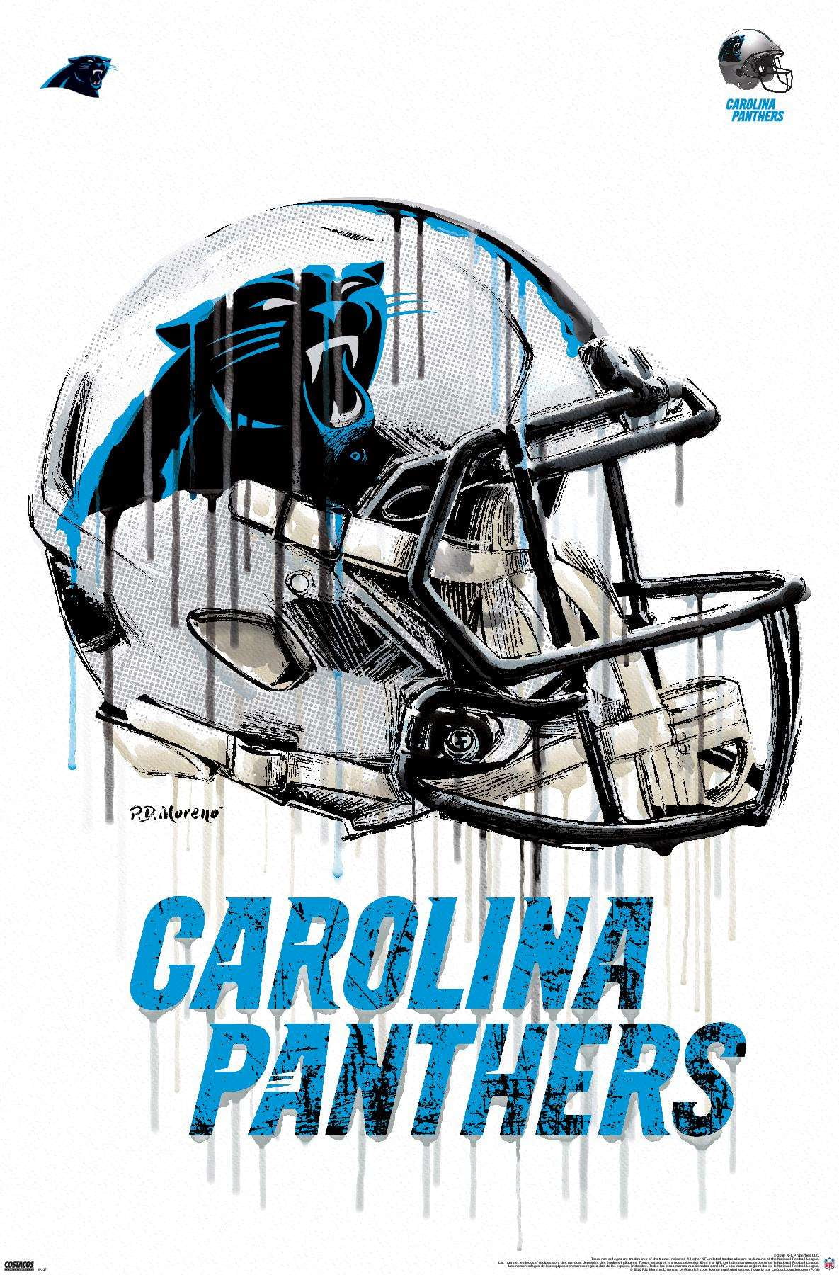 carolina panthers football helmet Riddell Authentic Full Size SpeedFlex Style Part of the Retro Collection Carolina Panthers Helmet Logo Panel