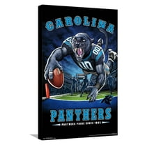 NFL Carolina Panthers - End Zone 17 Canvas Wall Poster, 14.725" x 22.375"