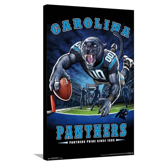 NFL Carolina Panthers - End Zone 17 Canvas Wall Poster, 22.375" x 34"