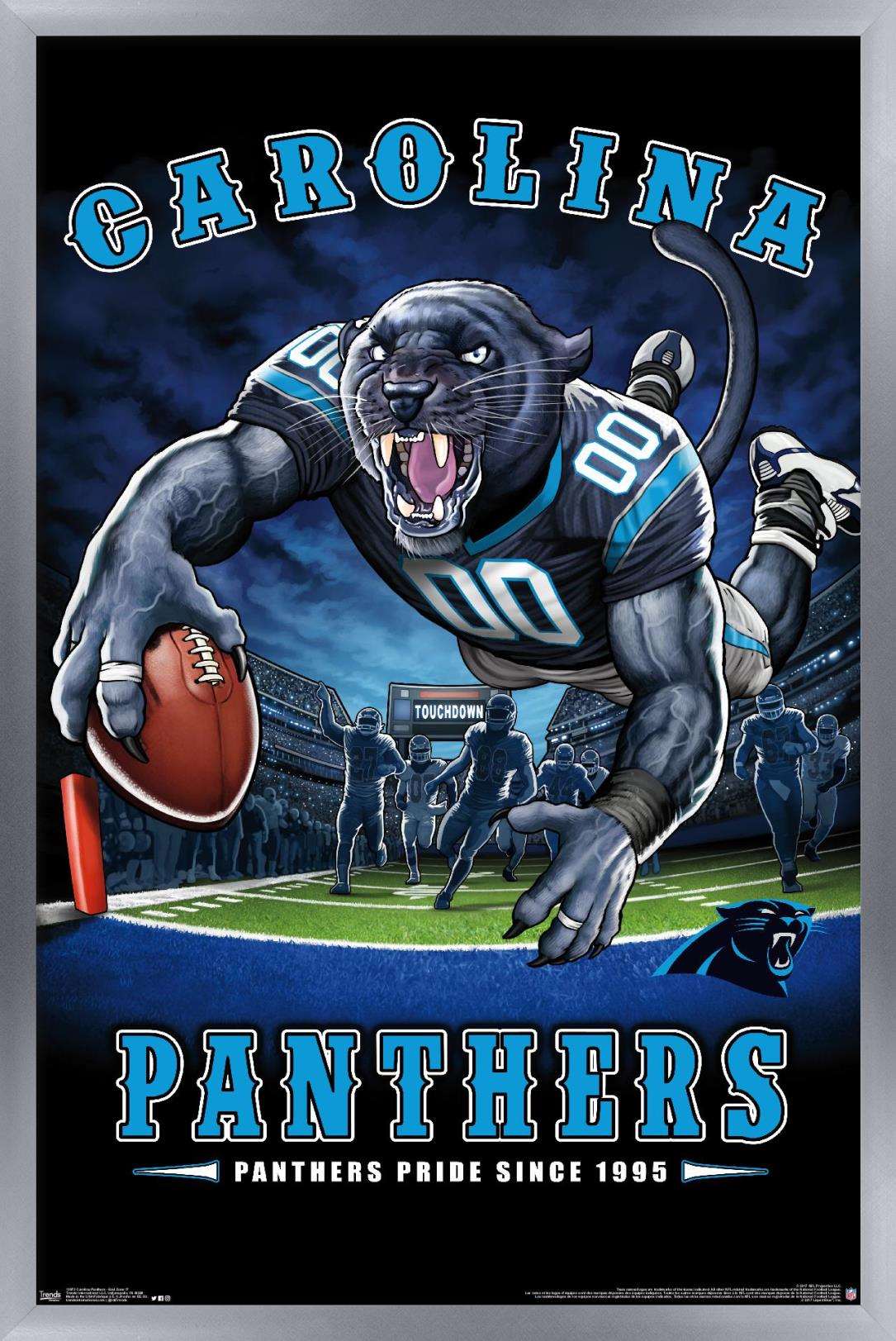 NFL Carolina Panthers - End Zone 17 Wall Poster, 14.725" x 22.375", Framed