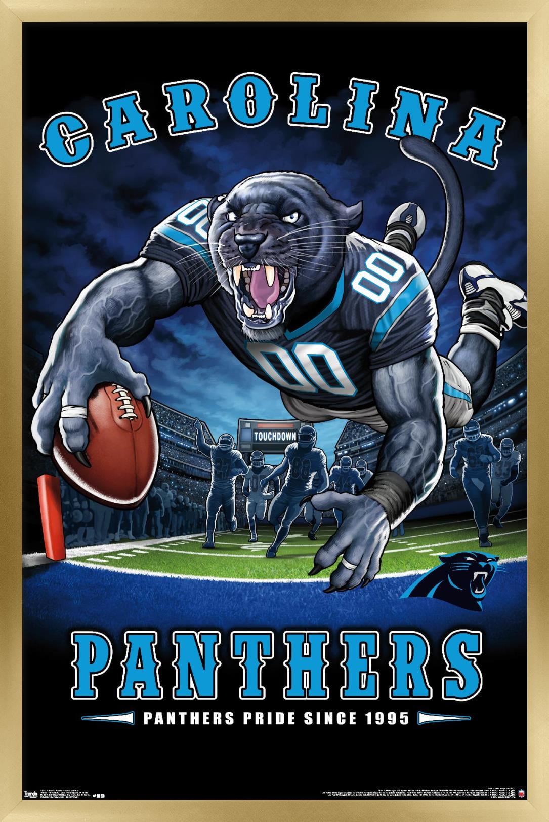 NFL Carolina Panthers - End Zone 17 Wall Poster, 14.725" x 22.375", Framed