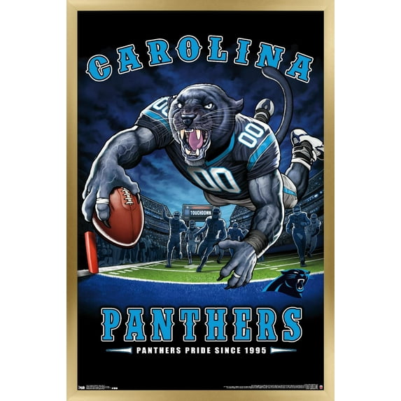 NFL Carolina Panthers - End Zone 17 Wall Poster, 14.725" x 22.375", Framed