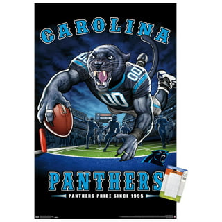 panthers nfl store
