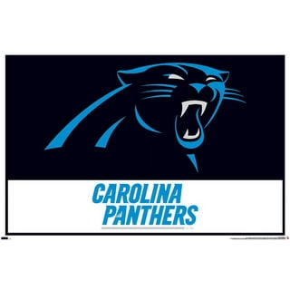 NFL Carolina Panthers - Neon Helmet 23 Poster