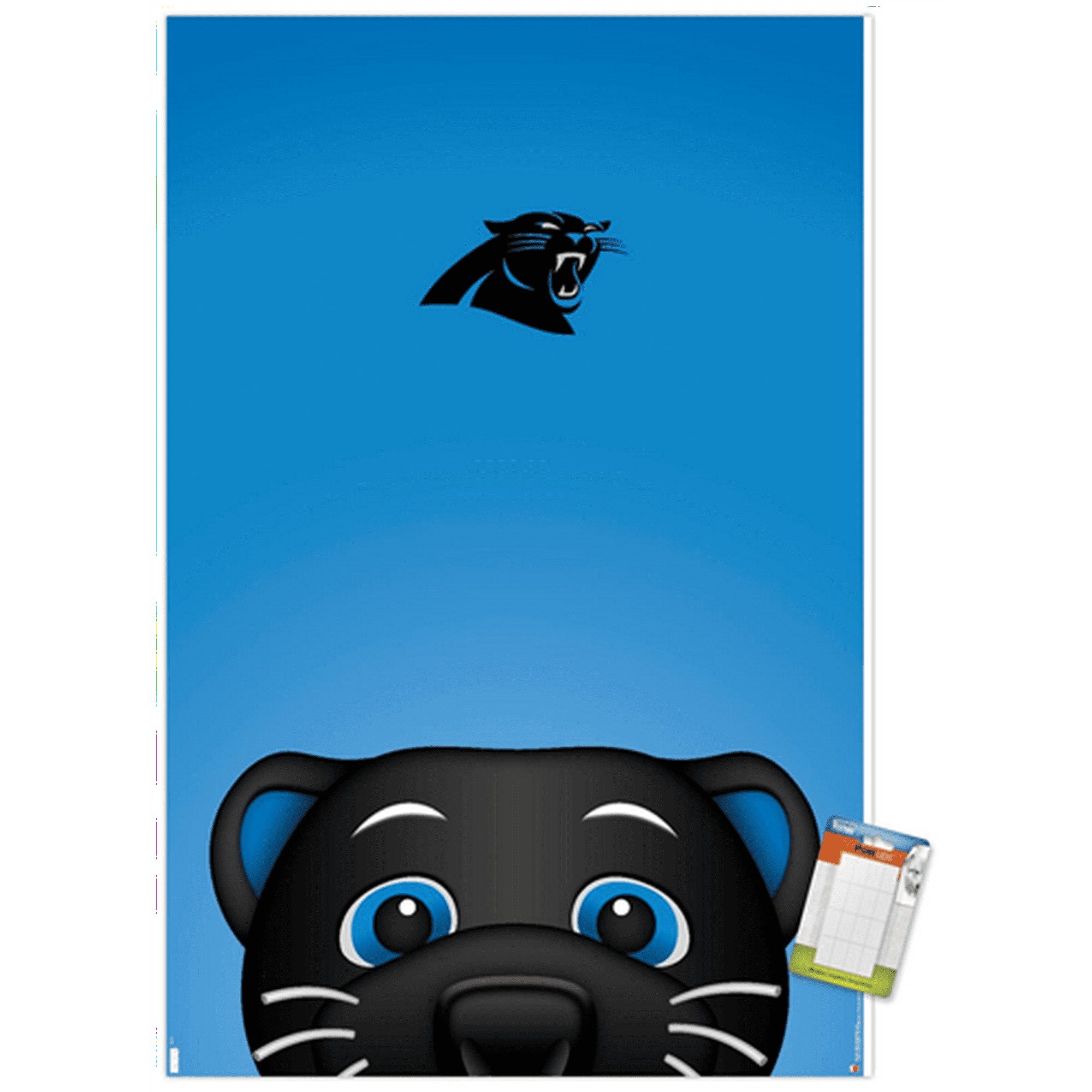 Carolina Panthers on X: 