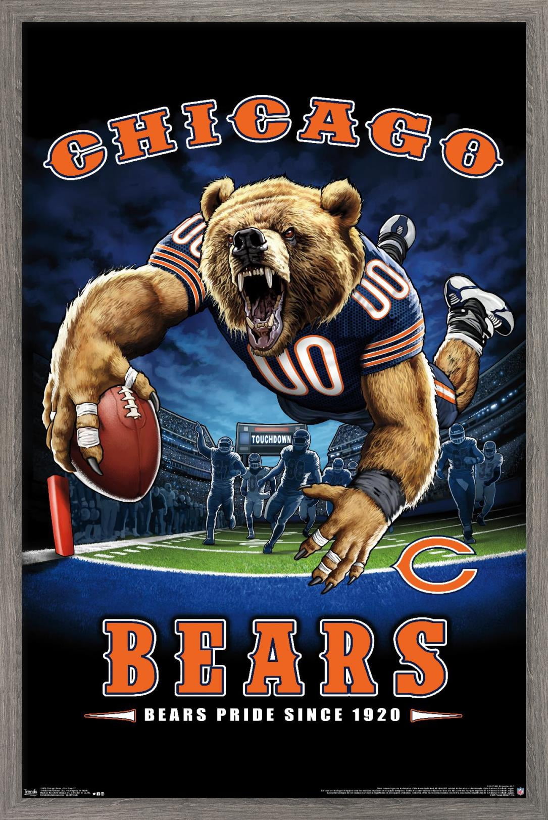 NFL Chicago Bears - End Zone 17 Wall Poster, 22.375" x 34", Framed