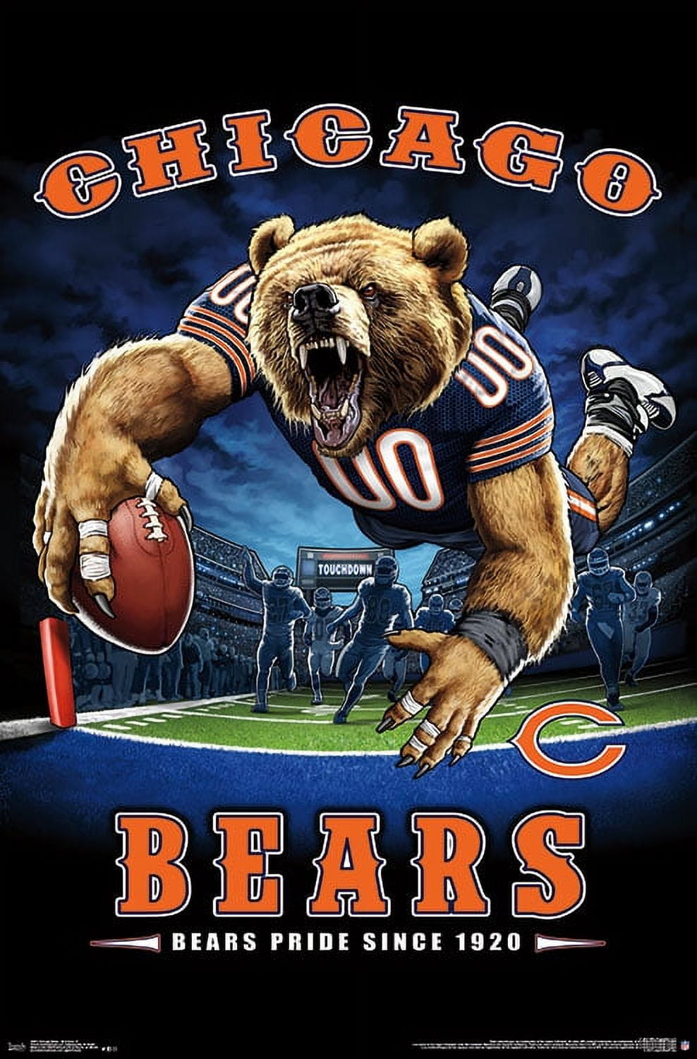 NFL Chicago Bears - End Zone 17 Wall Poster, 22.375" x 34"
