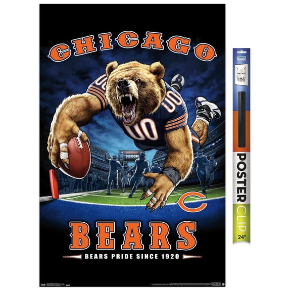 NFL Chicago Bears - End Zone 17 Wall Poster, 22.375" x 34"