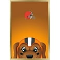 thumbnail image 1 of NFL Cleveland Browns - S. Preston Mascot Chomps Wall Poster, 14.725" x 22.375", Framed, 1 of 3