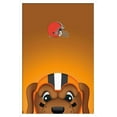thumbnail image 1 of NFL Cleveland Browns - S. Preston Mascot Chomps Wall Poster, 14.725" x 22.375", Framed, 1 of 3