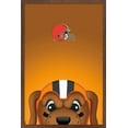 thumbnail image 1 of NFL Cleveland Browns - S. Preston Mascot Chomps Wall Poster, 22.375" x 34", Framed, 1 of 3