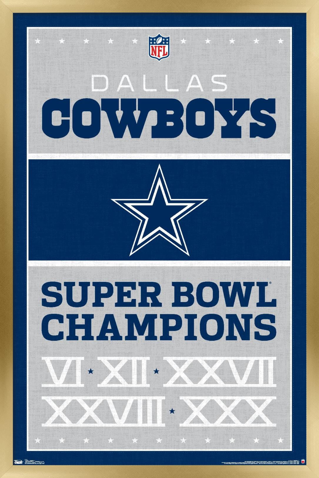 NFL Dallas Cowboys - Champions 13 Wall Poster, 14.725" x 22.375", Framed