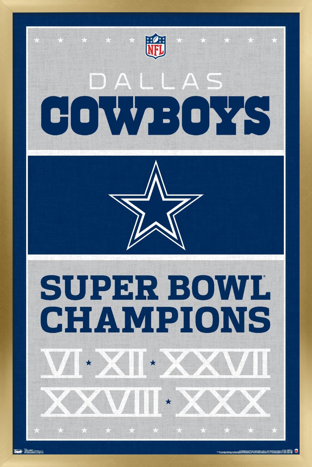 NFL Dallas Cowboys - Champions 13 Wall Poster, 22.375" x 34", Framed - image 1 of 6