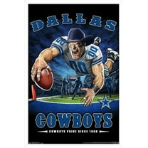 NFL Dallas Cowboys - End Zone 17 Wall Poster, 14.725" x 22.375", Framed