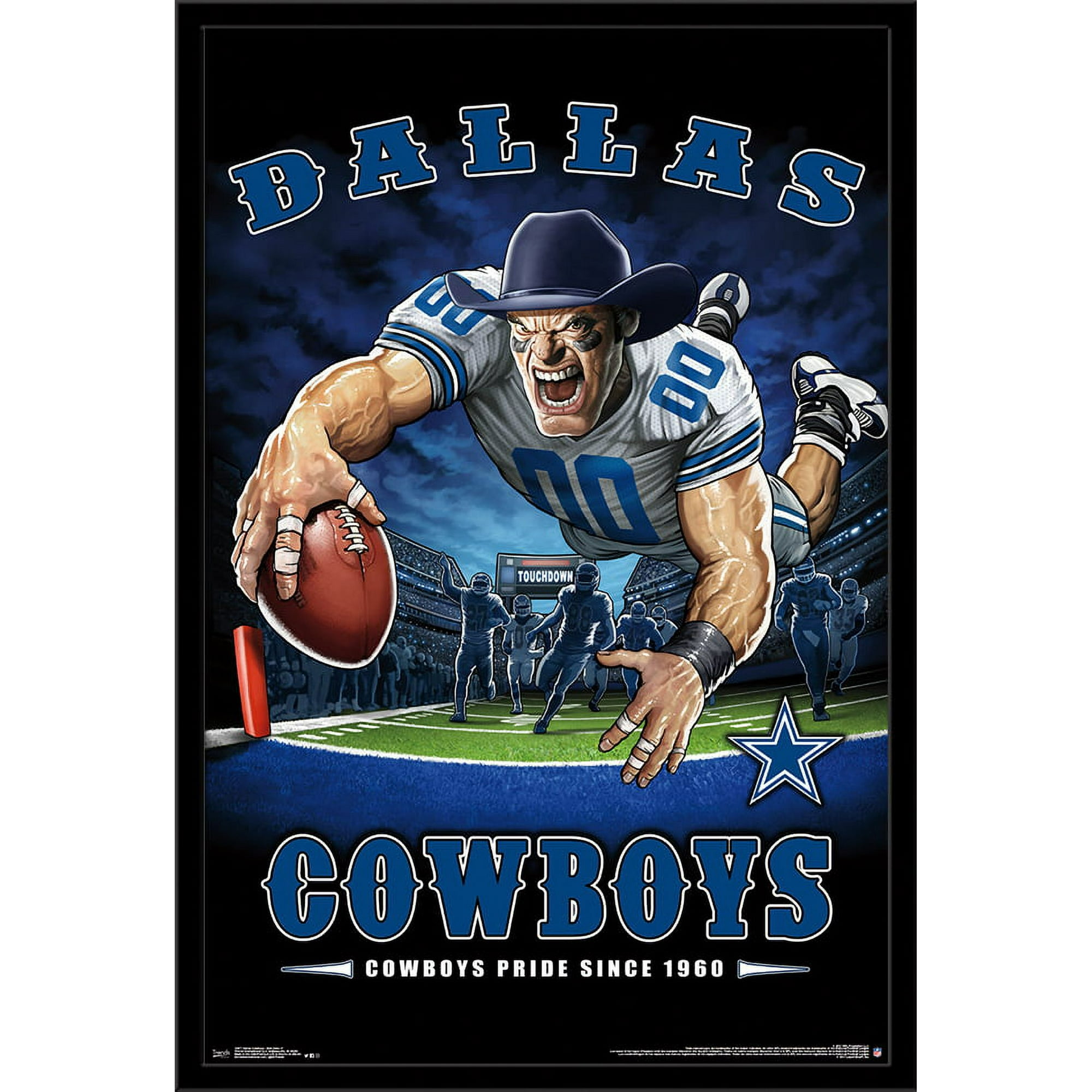 2017 DALLAS COWBOYS FOOTBALL TEAM 8X10 PHOTO PICTURE POSTER