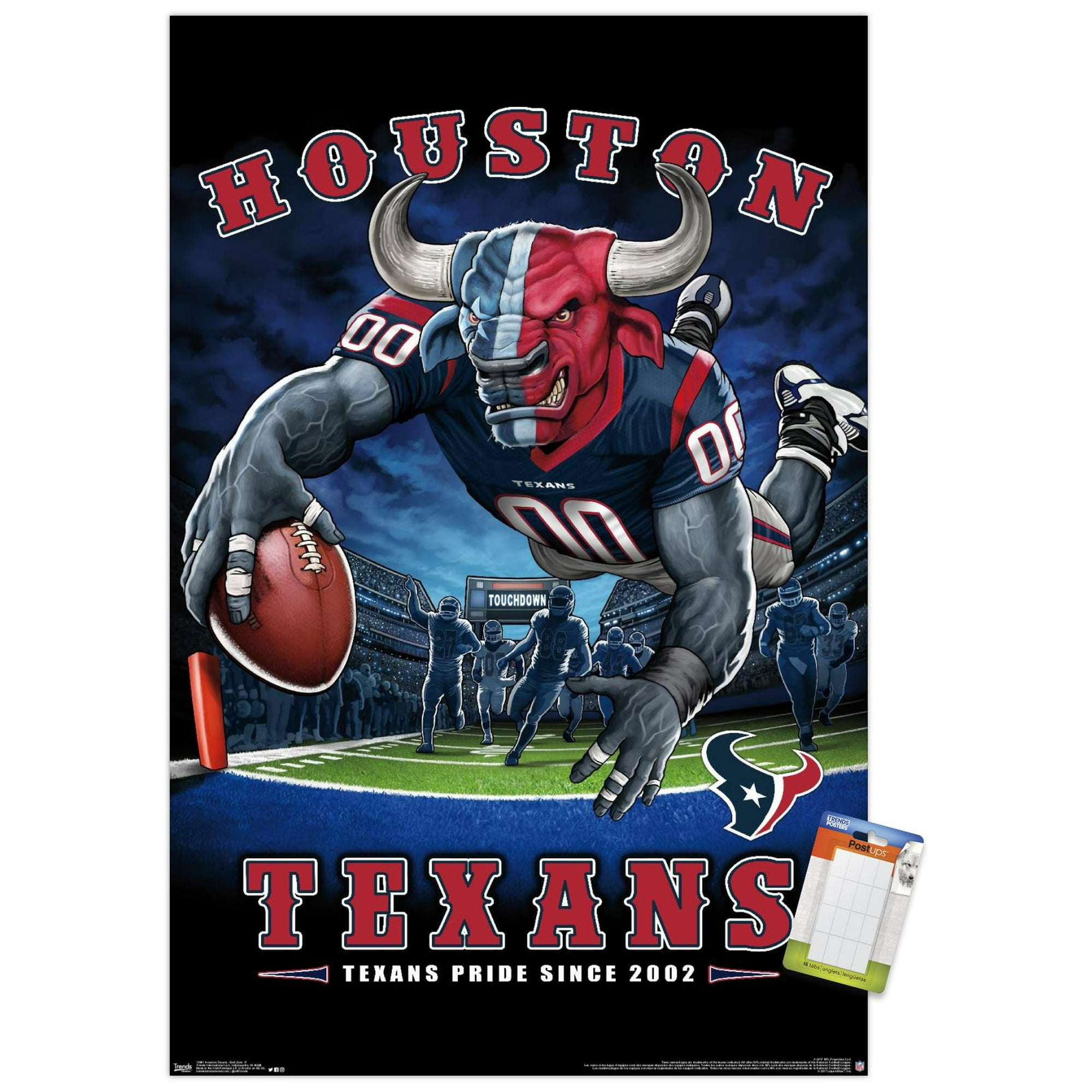 Trends International Wall Poster Houston Texans End Zone, 22.375 x 34