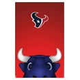 thumbnail image 1 of NFL Houston Texans - S. Preston Mascot Toro 20 Wall Poster, 14.725" x 22.375", Framed, 1 of 3