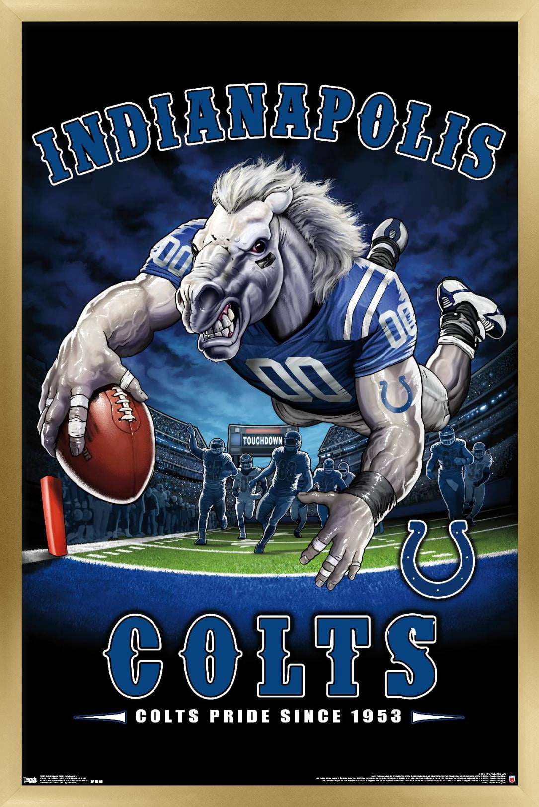 NFL Indianapolis Colts - End Zone 17 Wall Poster, 14.725" x 22.375", Framed