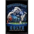 thumbnail image 1 of NFL Indianapolis Colts - End Zone 17 Wall Poster, 14.725" x 22.375", Framed, 1 of 5