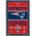 thumbnail image 1 of NFL New England Patriots - Champions 19 Wall Poster, 14.725" x 22.375", Framed, 1 of 3