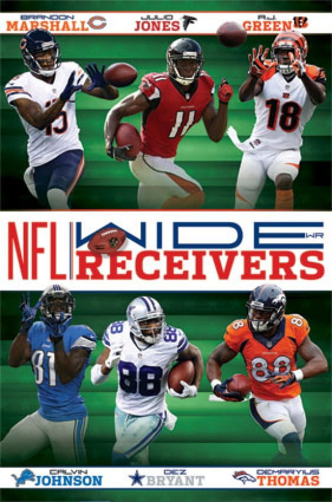 NFL Receivers 14 Poster Print (24 x 36)